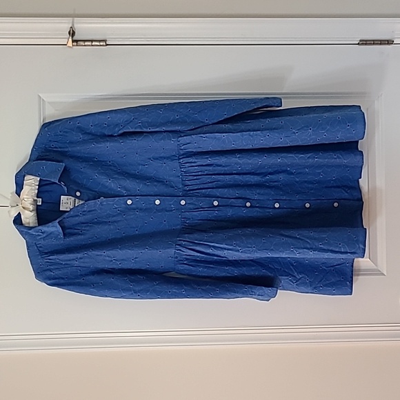 A sky blue eyelet dress with a button down front. Long sleeve with button cuffs. - Picture 1 of 4